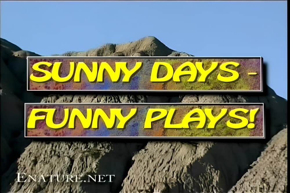 Enature - Sunny Days – Funny Plays - Naturism teaches you to accept yourself and others