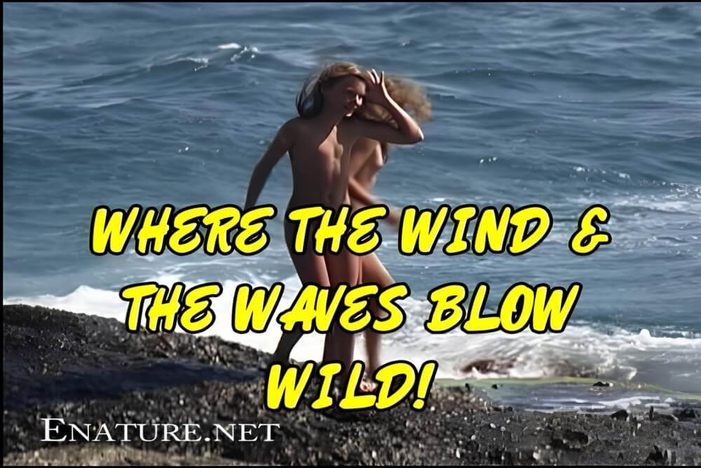 Enature - Where the Wind and the Waves Blow Wild! - Differences between nudists and naturists