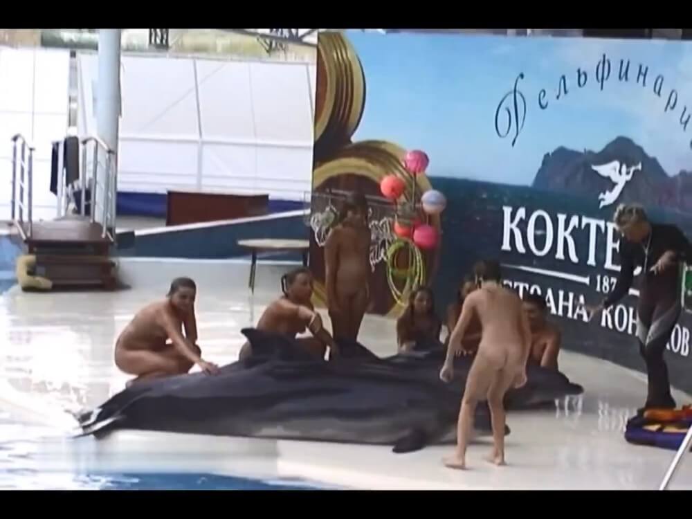 Relaxing at the dolphinarium - Visiting the Beach Without Clothes